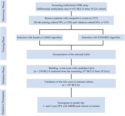 A Novel CpG Methylation Risk Indicator for Predicting Prognosis in Bladder Cancer